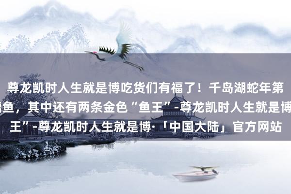 尊龙凯时人生就是博吃货们有福了！千岛湖蛇年第一捕收货6万余斤鲢鳙鱼，其中还有两条金色“鱼王”-尊龙凯时人生就是博·「中国大陆」官方网站