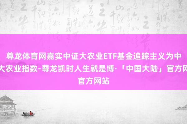 尊龙体育网嘉实中证大农业ETF基金追踪主义为中证大农业指数-尊龙凯时人生就是博·「中国大陆」官方网站