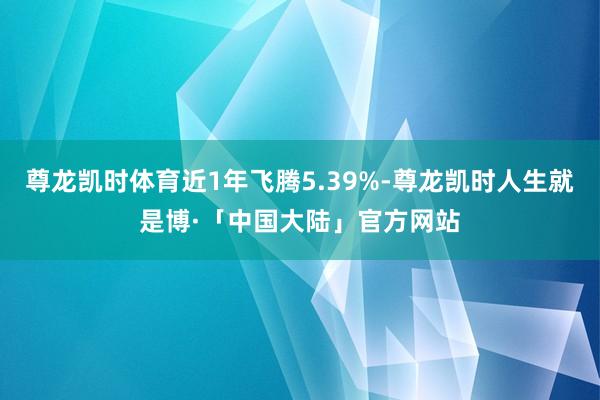 尊龙凯时体育近1年飞腾5.39%-尊龙凯时人生就是博·「中国大陆」官方网站