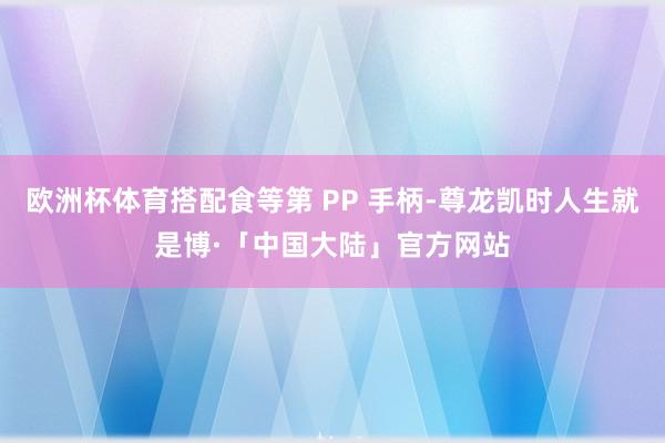 欧洲杯体育搭配食等第 PP 手柄-尊龙凯时人生就是博·「中国大陆」官方网站