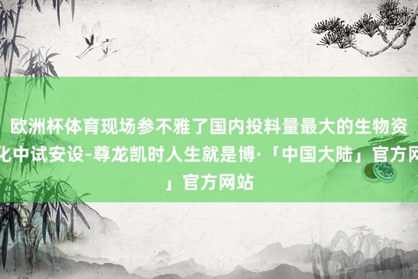 欧洲杯体育现场参不雅了国内投料量最大的生物资气化中试安设-尊龙凯时人生就是博·「中国大陆」官方网站