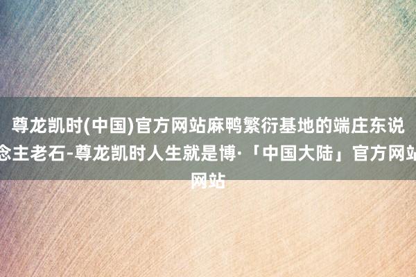 尊龙凯时(中国)官方网站麻鸭繁衍基地的端庄东说念主老石-尊龙凯时人生就是博·「中国大陆」官方网站