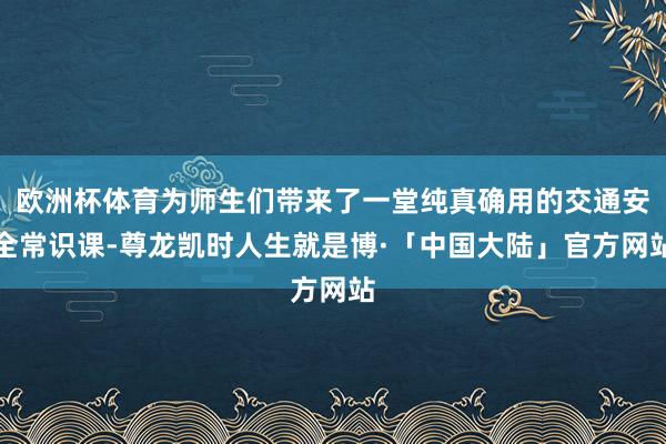 欧洲杯体育为师生们带来了一堂纯真确用的交通安全常识课-尊龙凯时人生就是博·「中国大陆」官方网站