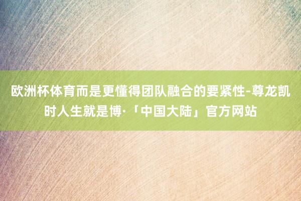 欧洲杯体育而是更懂得团队融合的要紧性-尊龙凯时人生就是博·「中国大陆」官方网站