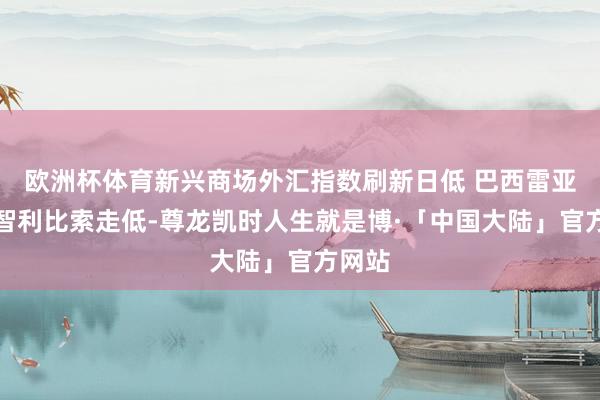 欧洲杯体育新兴商场外汇指数刷新日低 巴西雷亚尔和智利比索走低-尊龙凯时人生就是博·「中国大陆」官方网站