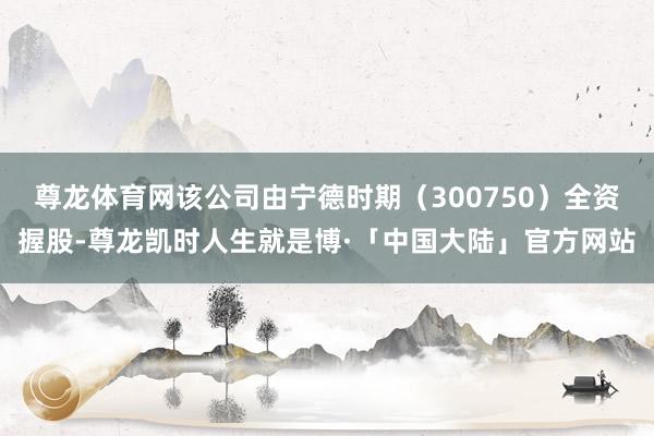 尊龙体育网该公司由宁德时期（300750）全资握股-尊龙凯时人生就是博·「中国大陆」官方网站