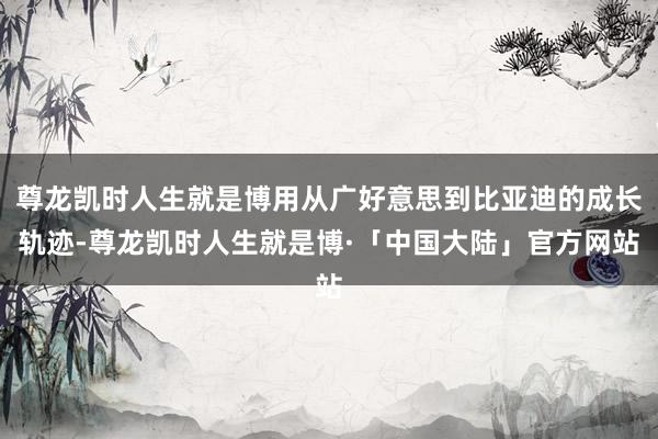 尊龙凯时人生就是博用从广好意思到比亚迪的成长轨迹-尊龙凯时人生就是博·「中国大陆」官方网站