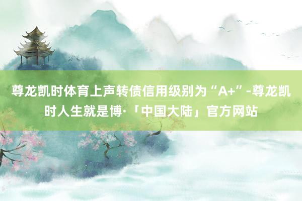 尊龙凯时体育上声转债信用级别为“A+”-尊龙凯时人生就是博·「中国大陆」官方网站