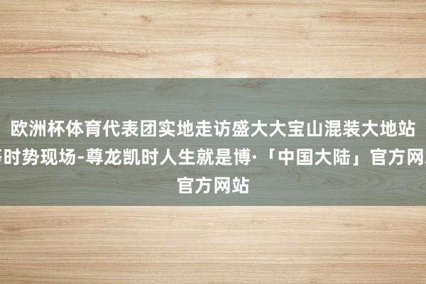 欧洲杯体育代表团实地走访盛大大宝山混装大地站等时势现场-尊龙凯时人生就是博·「中国大陆」官方网站