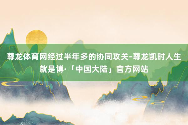 尊龙体育网经过半年多的协同攻关-尊龙凯时人生就是博·「中国大陆」官方网站